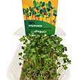 Набор для выращивания микрозелени "Редис" 5 гр.